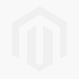 Peinture Radiant Silver